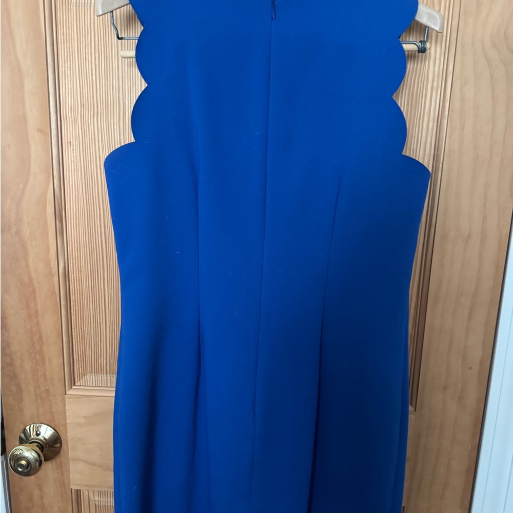 J. Crew Royal Blue Backless Scalloped Dress